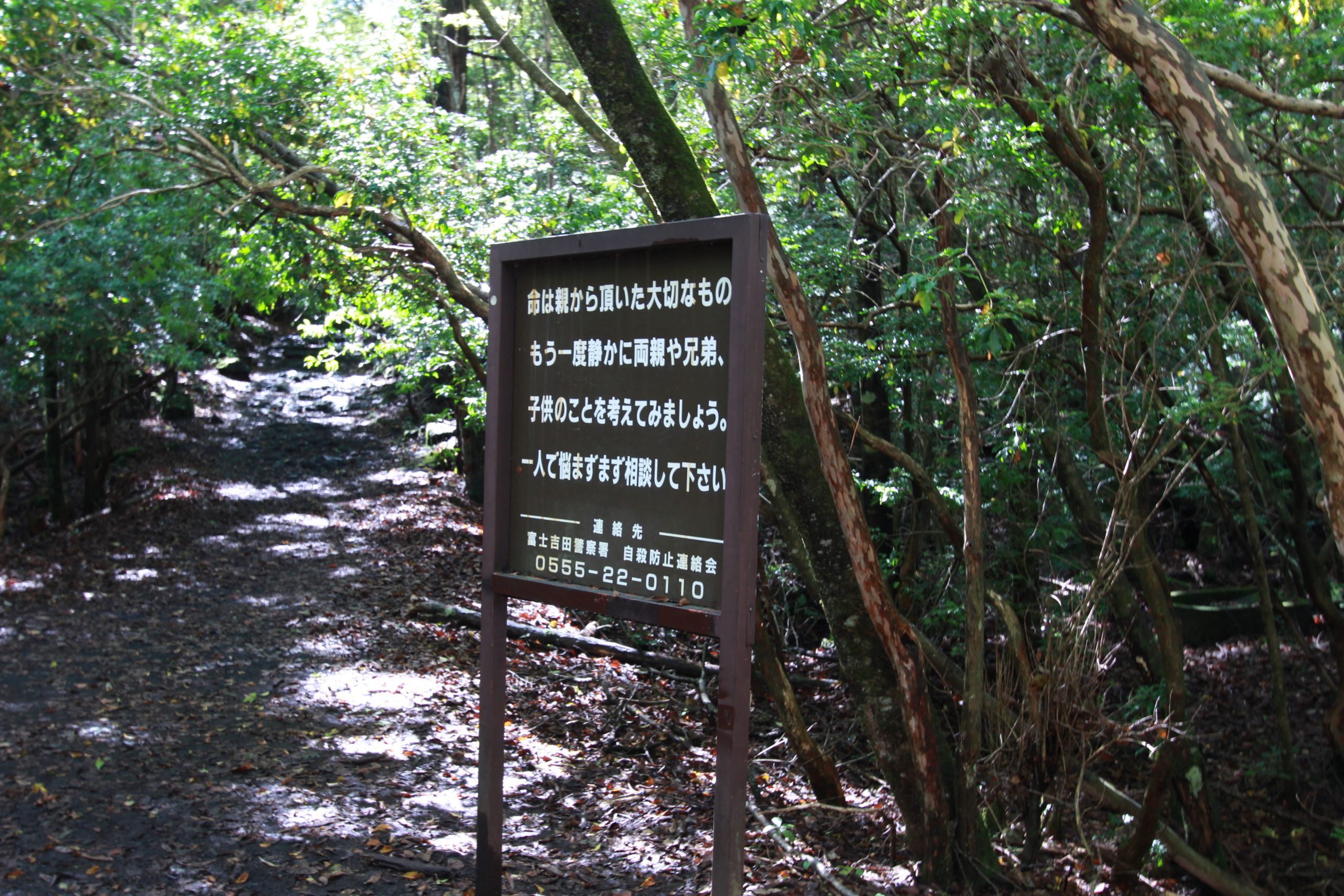 青木ヶ原樹海で出会った、幻聴に殺されかけた姉妹