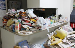 ゴミ屋敷の様子