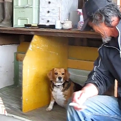 生活保護はホームレスを救うのか？　それともダメにするのか？　河川敷に住む野宿生活当事者の意見は？
