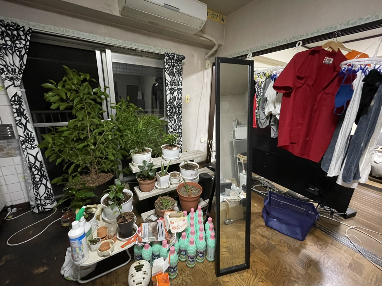 47歳フリーランスライター独身男。「家を買うべき？」「借家に住み続けるべき？」最終結論。